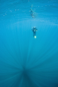 Hanging around on the safety stop, I noticed the light ra... by Mick Tait 
